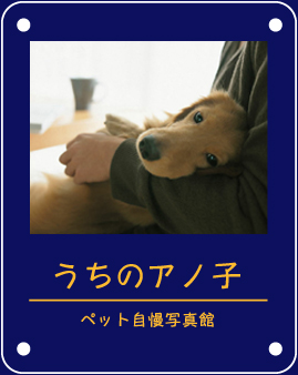 �����̃A�m�q�`�y�b�g�����ʐ^�ف`